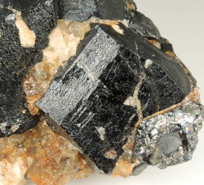 Schorl Tourmaline from Rice Mine, Groton, Grafton County, New Hampshire