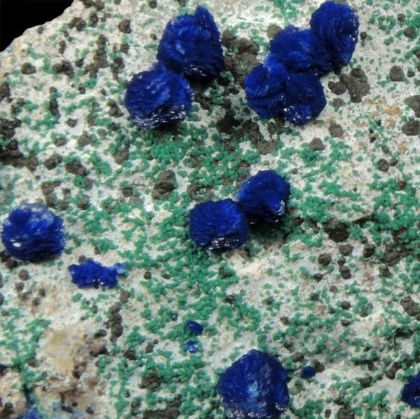 Azurite and Malachite from Morenci Mine, Clifton District, Greenlee County, Arizona