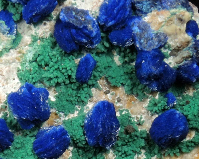 Azurite and Malachite from Morenci Mine, Clifton District, Greenlee County, Arizona