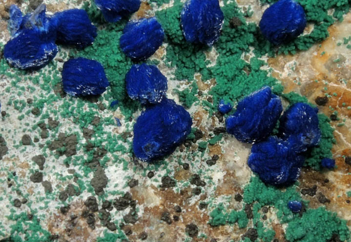 Azurite and Malachite from Morenci Mine, Clifton District, Greenlee County, Arizona