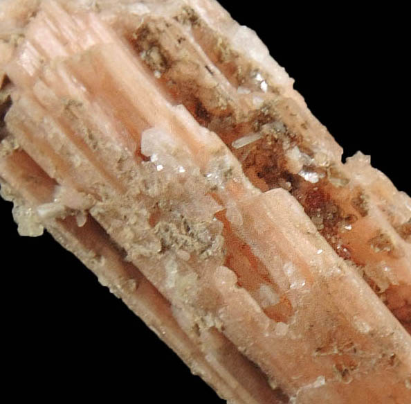 Schizolite with minor Polylithionite from Poudrette Quarry, Mont Saint-Hilaire, Qubec, Canada