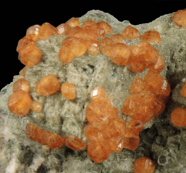 Spessartine Garnet and Muscovite over Microcline from Tongbei-Yunling District, Fujian Province, China