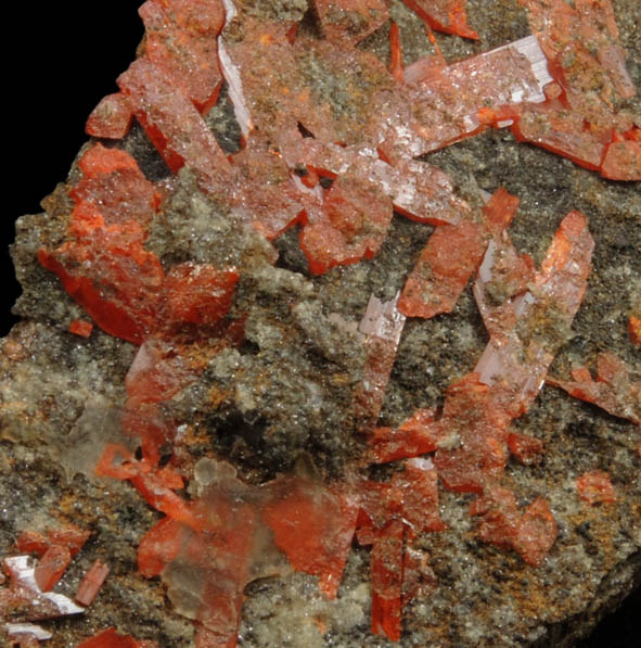 Crocoite from Berezovsk Gold Mine (Berezovskii), Sverdlovsk Oblast', Middle Ural Mountains, Russia (Type Locality for Crocoite)