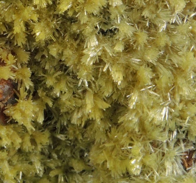 Pyromorphite from Broken Hill, New South Wales, Australia