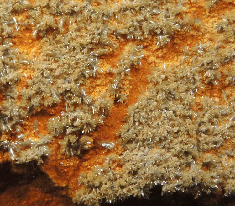 Vanadinite var. Endlichite on Descloizite from Chalk Mountain Mine, 510' Level, Churchill County, Nevada