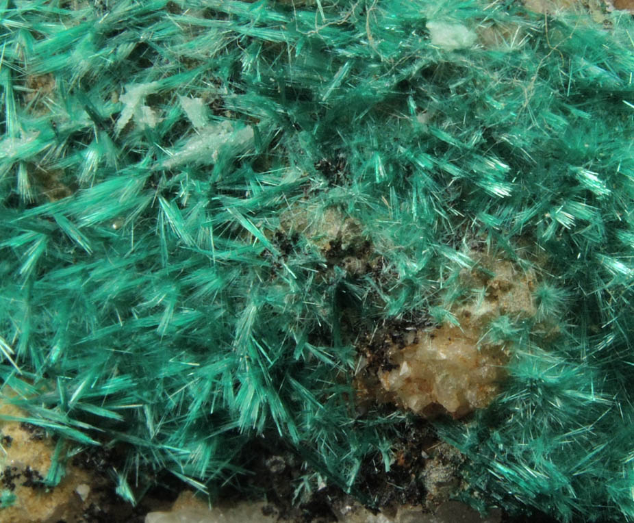 Brochantite var. Blanchardite on Quartz from Blanchard Mine, Hansonburg District, 8.5 km south of Bingham, Socorro County, New Mexico (Type Locality for Blanchardite)