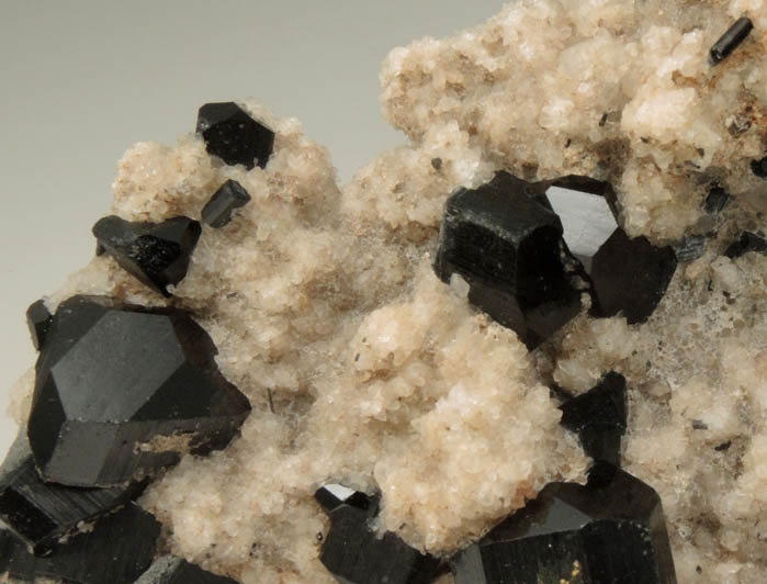 Schorl Tourmaline on Quartz from Klein Spitzkoppe, 56 km WNW of Usakos, Erongo region, Namibia