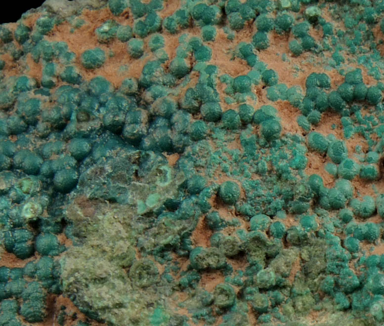 Pseudomalachite from Schuyler Copper Mine, North Arlington, Bergen County, New Jersey