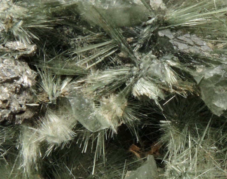 Actinolite from Colebrook Hill, 4.2 km SW of Rosebery, Tasmania, Australia