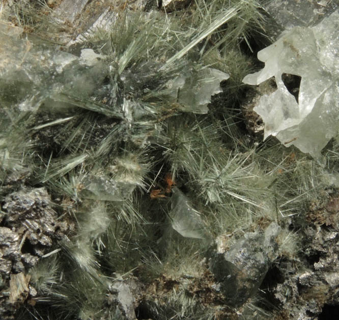 Actinolite from Colebrook Hill, 4.2 km SW of Rosebery, Tasmania, Australia