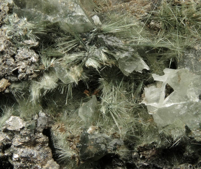 Actinolite from Colebrook Hill, 4.2 km SW of Rosebery, Tasmania, Australia