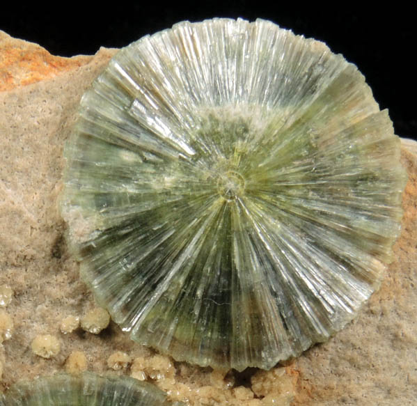 Wavellite from Dug Hill, near Avant, Garland County, Arkansas