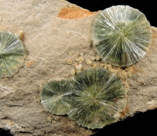 Wavellite from Dug Hill, near Avant, Garland County, Arkansas