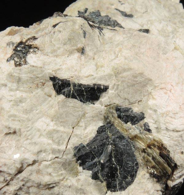 Columbite-Tantalite from Bennett Quarry, Buckfield, Oxford County, Maine