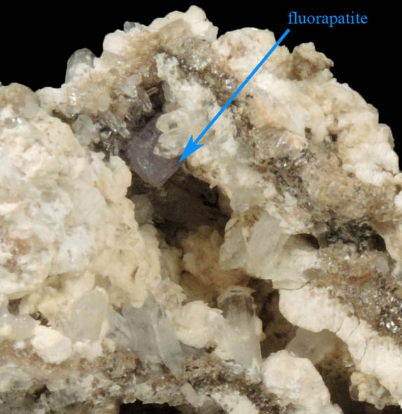 Fluorapatite, Quartz, Albite from Harvard Quarry, Greenwood, Oxford County, Maine