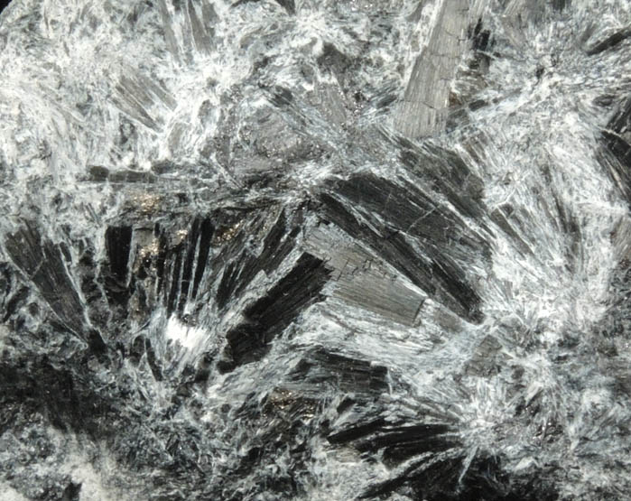 Ludwigite with minor Chalcopyrite from Miniera di Brosso, Clea, Canavese, Torino, Piemonte, Italy