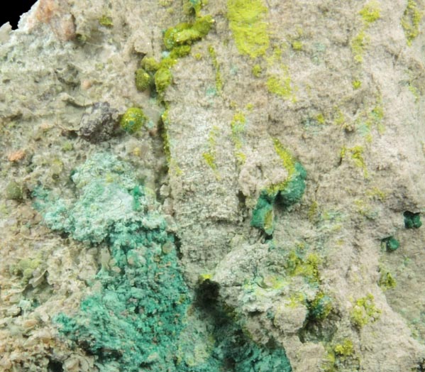 Volborthite and Chrysocolla from Monument No. 1 Mine, 26 km north of Kayenta, Navajo County, Arizona