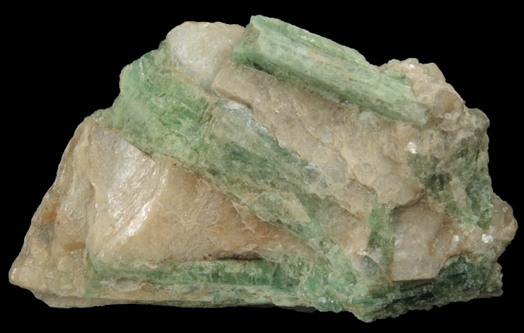 Elbaite Tourmaline in Muscovite from Mount Apatite, Auburn, Androscoggin County, Maine