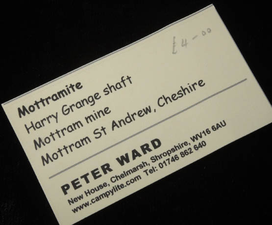 Mottramite from Mottram Mine, Mottram St. Andrew, Cheshire, England (Type Locality for Mottramite)