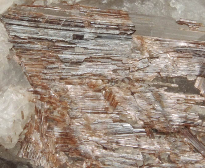 Rutile in Quartz from Lochan na Lairige, Ben Lawers Dam, Perth and Kinross, Scotland