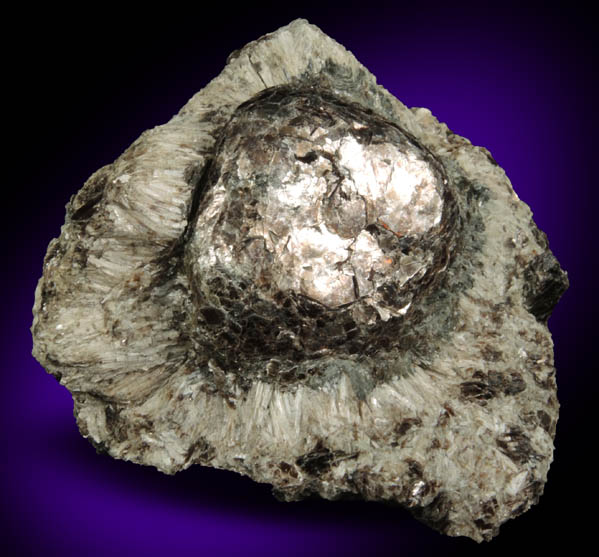 Phlogopite in Anthophyllite (Hermanov Sphere) from Hermanov, Vysocina, Czech Republic