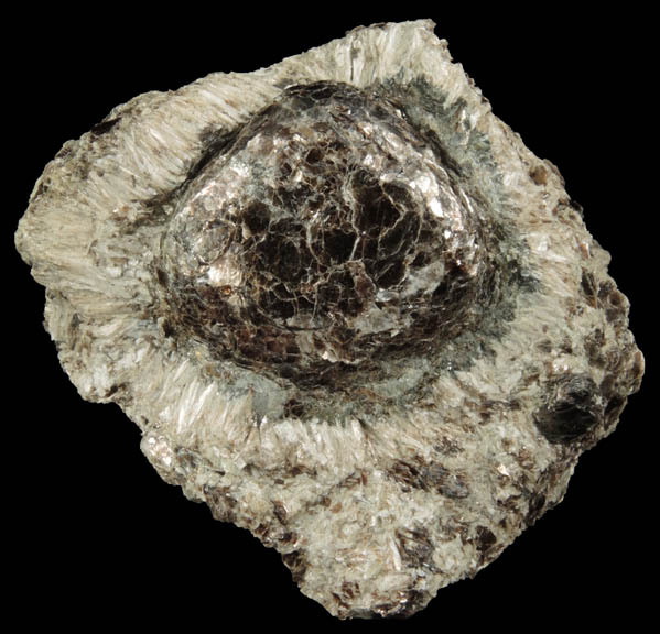 Phlogopite in Anthophyllite (Hermanov Sphere) from Hermanov, Vysocina, Czech Republic