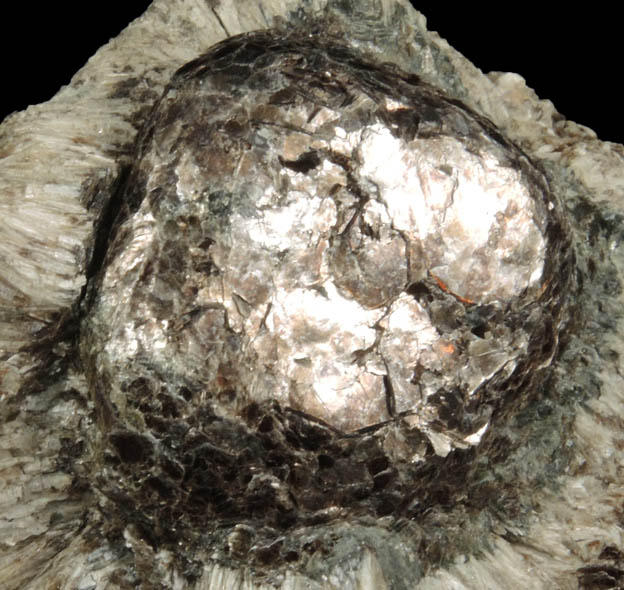 Phlogopite in Anthophyllite (Hermanov Sphere) from Hermanov, Vysocina, Czech Republic