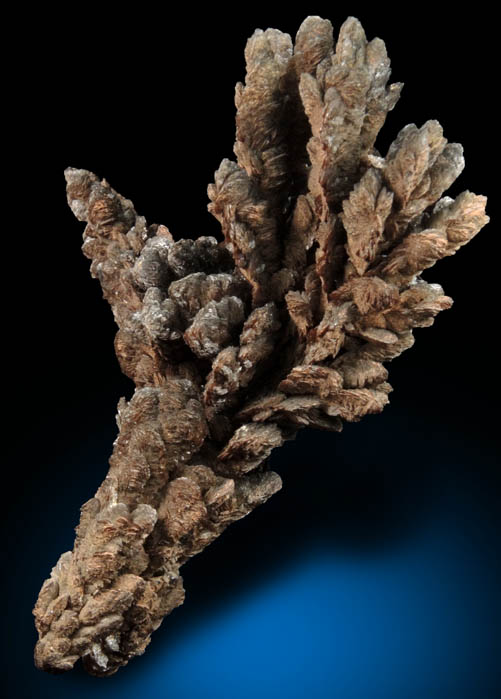 Descloizite (arborescent formation) from Berg Aukas Mine, 16 km ENE of Grootfontein, Otavi Mountain Land, Namibia