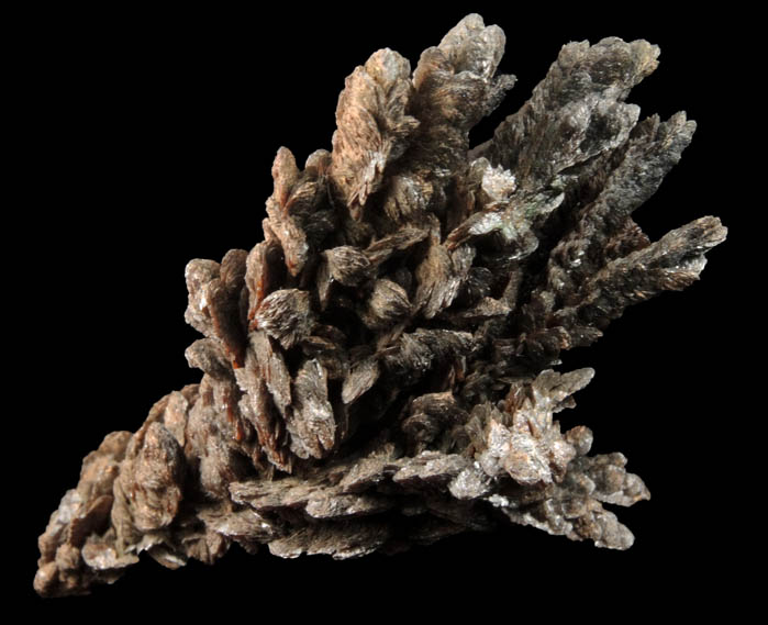 Descloizite (arborescent formation) from Berg Aukas Mine, 16 km ENE of Grootfontein, Otavi Mountain Land, Namibia