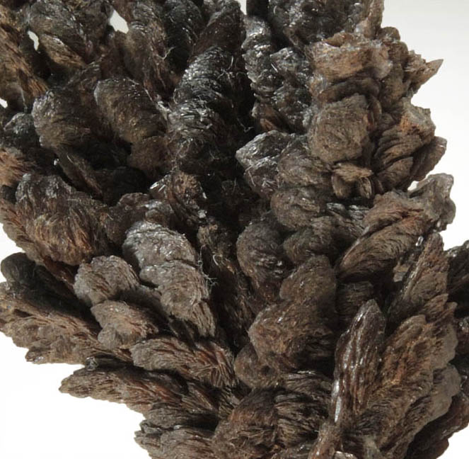 Descloizite (arborescent formation) from Berg Aukas Mine, 16 km ENE of Grootfontein, Otavi Mountain Land, Namibia