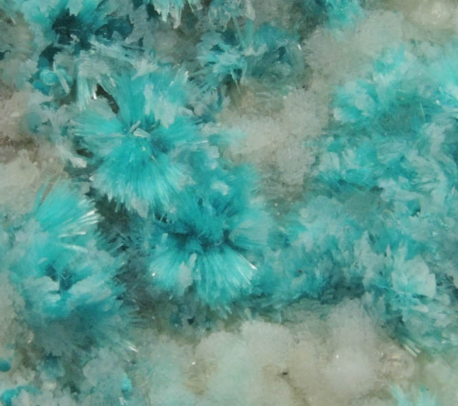 Aurichalcite and Hemimorphite from 79 Mine, Banner District, near Hayden, Gila County, Arizona