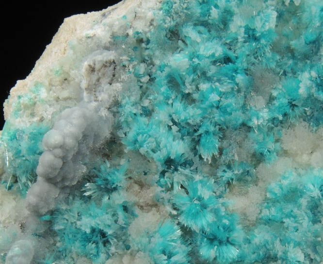 Aurichalcite and Hemimorphite from 79 Mine, Banner District, near Hayden, Gila County, Arizona