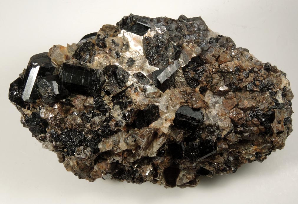 Schorl Tourmaline with Almandine Garnet from ledge above the Harvard Quarry, Noyes Mountain, Greenwood, Oxford County, Maine