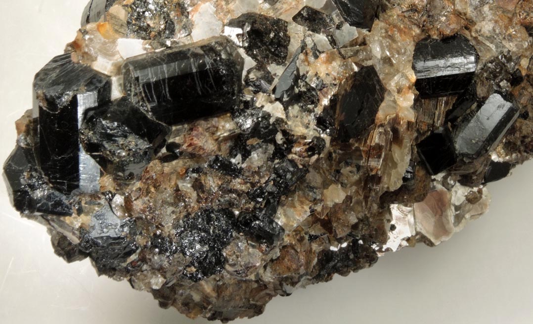 Schorl Tourmaline with Almandine Garnet from ledge above the Harvard Quarry, Noyes Mountain, Greenwood, Oxford County, Maine