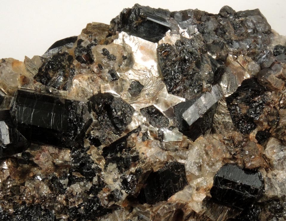 Schorl Tourmaline with Almandine Garnet from ledge above the Harvard Quarry, Noyes Mountain, Greenwood, Oxford County, Maine
