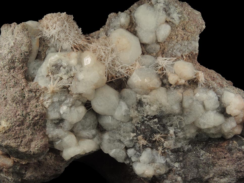 Analcime with Natrolite from Wasson's Bluff, Parrsboro, Nova Scotia, Canada