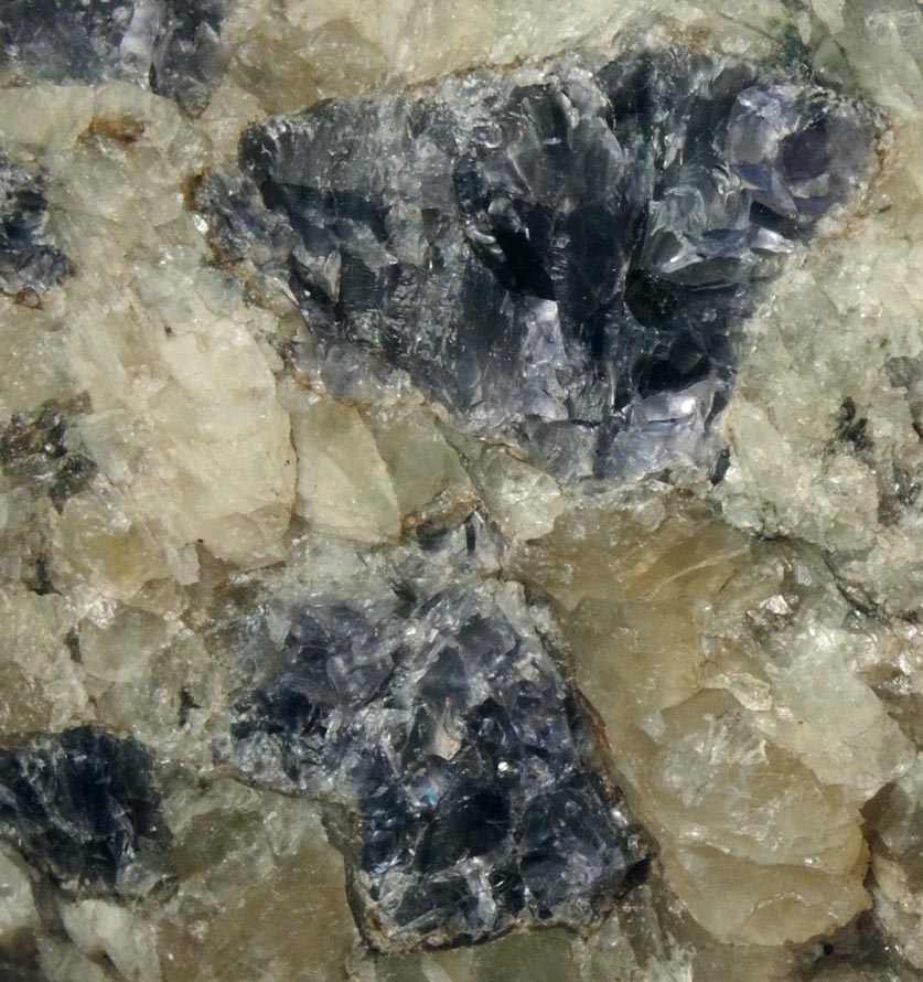 Cordierite var. Iolite from Route 9 road cut at Beaver Meadow Road, Haddam, Middlesex County, Connecticut