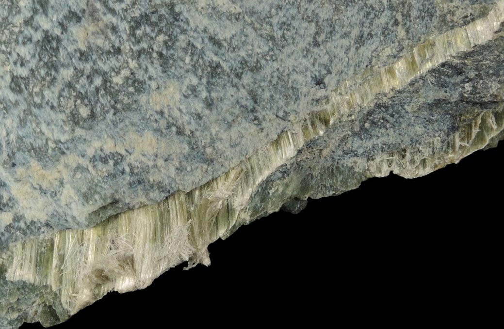 Chrysotile in Serpentine from Pelham, Hampshire County, Massachusetts