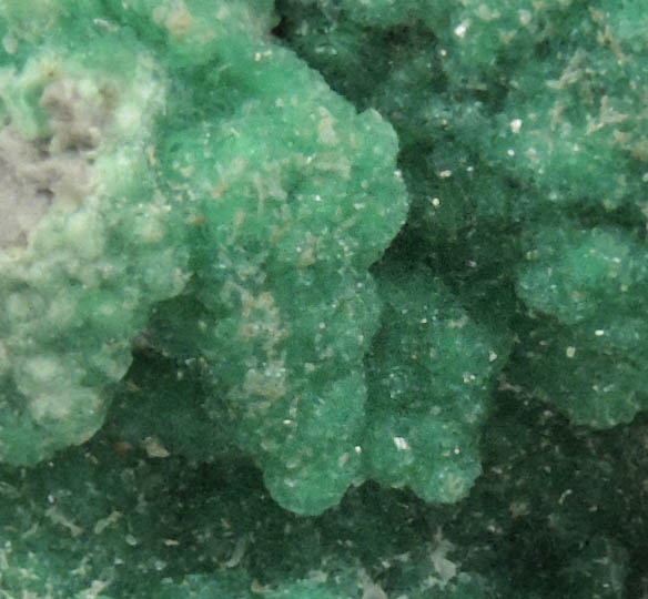 Variscite from Mauldin Mountain, Montgomery County, Arkansas