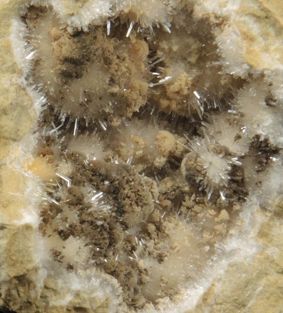 Kutnohorite and Aragonite from Levane, Val D'Arno, Tuscany, Italy