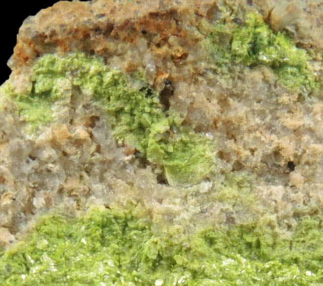 Volborthite from Monument No. 1 Mine, 26 km north of Kayenta, Navajo County, Arizona