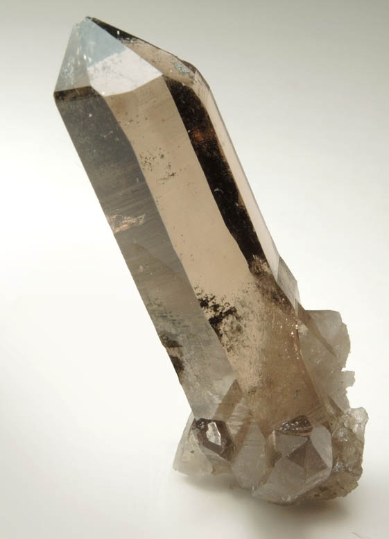 Quartz var. Smoky Quartz (Dauphin-law twin) with Chlorite from Binntal, Valais, Switzerland