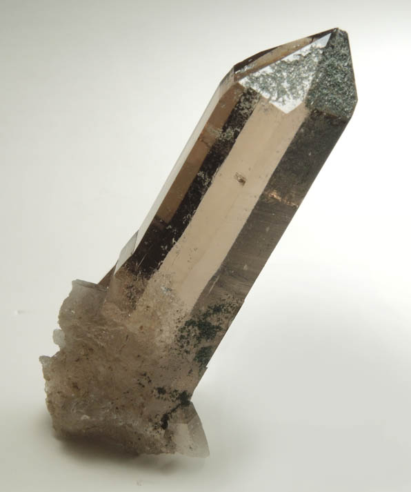 Quartz var. Smoky Quartz (Dauphin-law twin) with Chlorite from Binntal, Valais, Switzerland