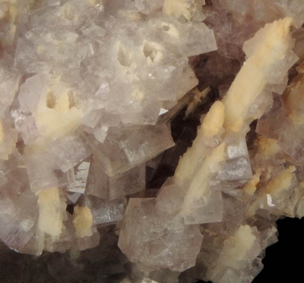Barite epimorphs after Laumontite with Fluorite from Buck Mine, Cripple Creek Mining District, Teller County, Colorado