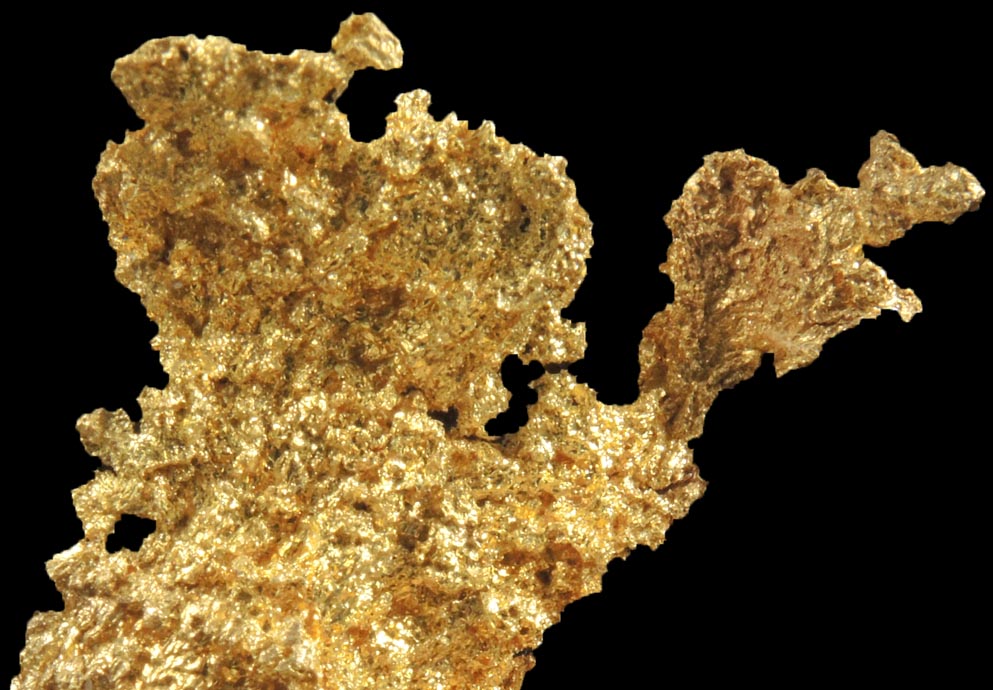 Gold from Coulterville-Mariposa region, Mother Lode Belt, Mariposa County, California