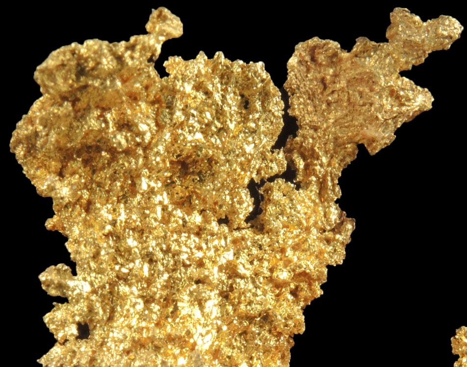 Gold from Coulterville-Mariposa region, Mother Lode Belt, Mariposa County, California