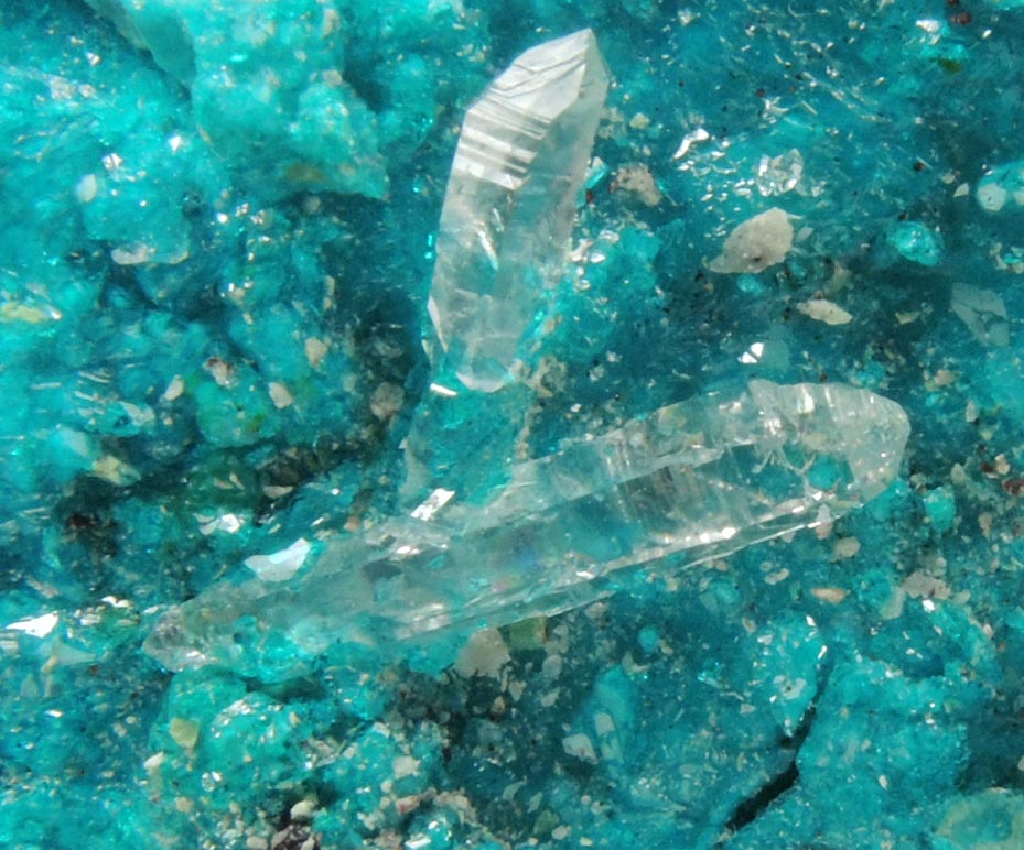 Dioptase and Chrysocolla with Quartz from Milpillas Mine, Cuitaca, Sonora, Mexico