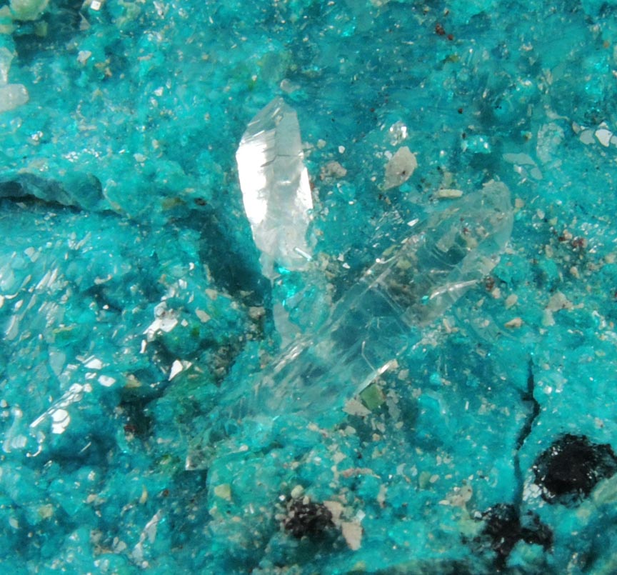 Dioptase and Chrysocolla with Quartz from Milpillas Mine, Cuitaca, Sonora, Mexico