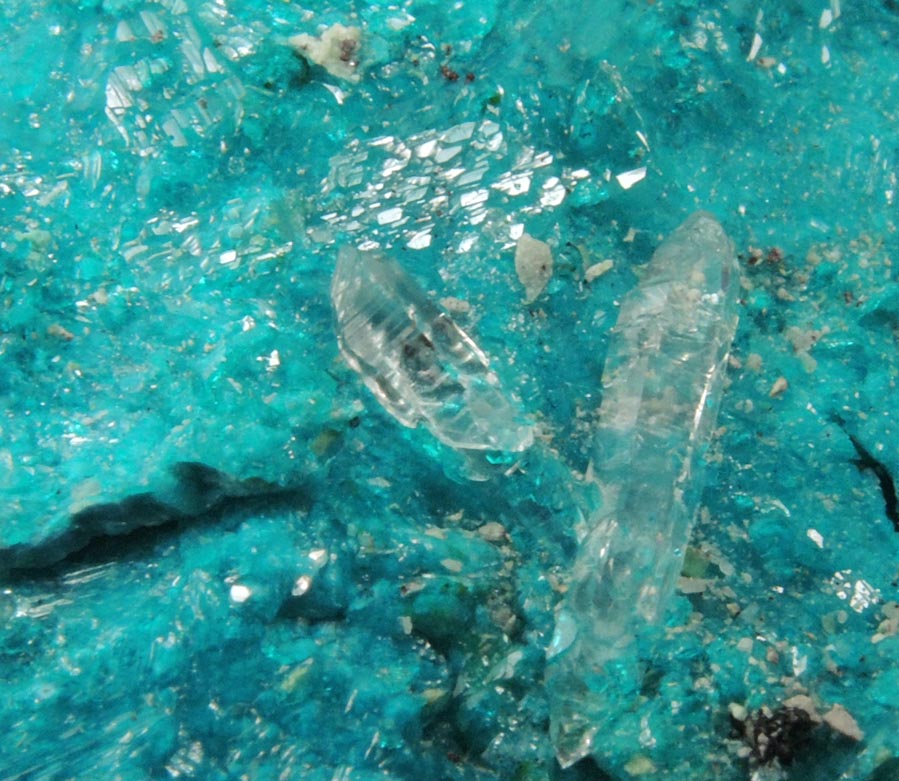 Dioptase and Chrysocolla with Quartz from Milpillas Mine, Cuitaca, Sonora, Mexico