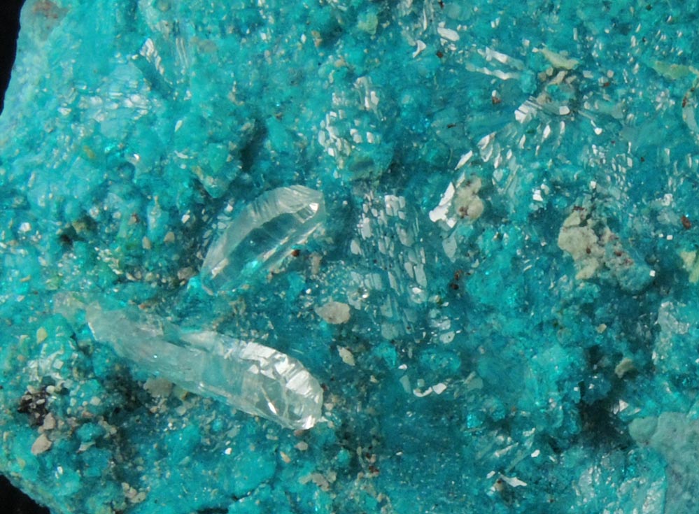 Dioptase and Chrysocolla with Quartz from Milpillas Mine, Cuitaca, Sonora, Mexico